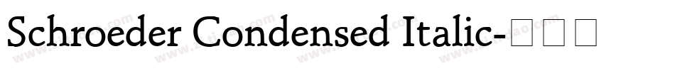 Schroeder Condensed Italic字体转换